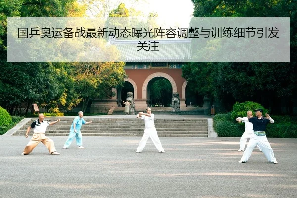 国乒奥运备战最新动态曝光阵容调整与训练细节引发关注